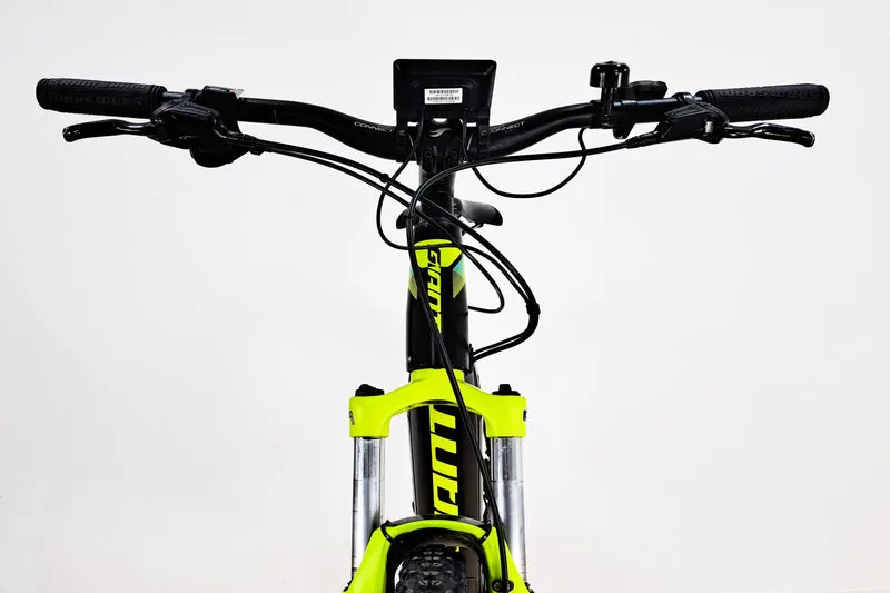 GIANT Dirt E+3 2018 M