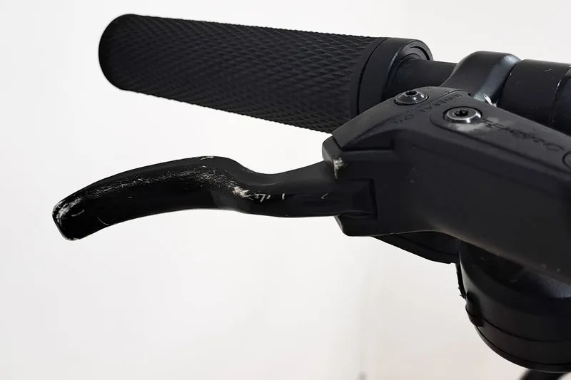 Giant Talon E+ 2 29er 2021 M