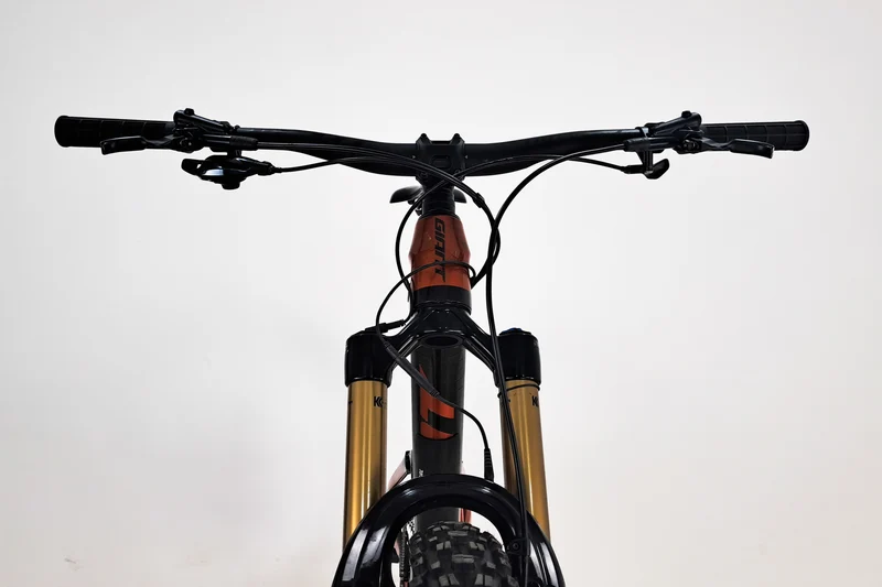 GIANT Reign Advanced Pro 29 1 2022 M 1406